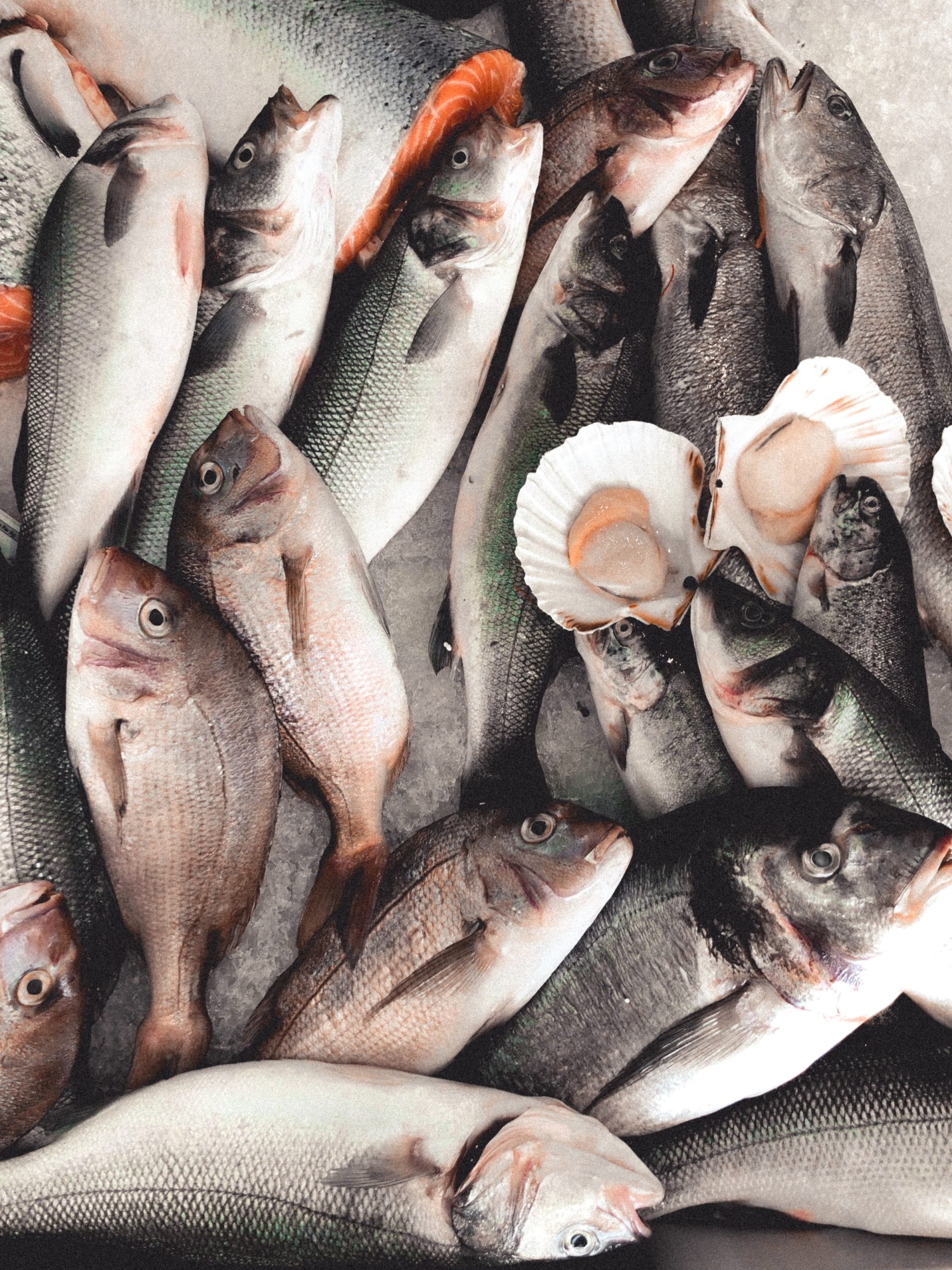Read more about the article Hurtig levering af fiskeprodukter fra NemFISK